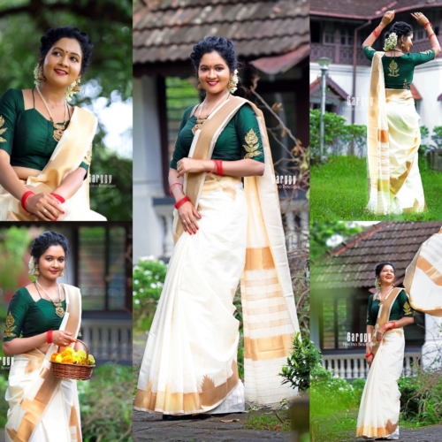 Saree ( Concept- Temple Design)